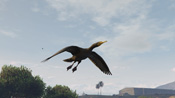 Un cormorano in GTA 5