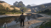 Un cormorano in GTA V