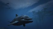 Un delfino in GTA V