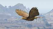 Un falco in GTA 5