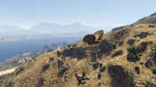 Un falco in GTA 5