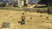 GTA 5 Galline