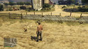 GTA 5 Galline