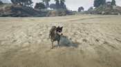 Un Husky in GTA 5