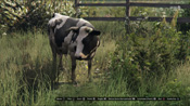 Una mucca in GTA V