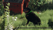Il Rottweiler Chop in GTA 5