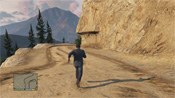 GTA 5 Grande Boscaglia
