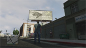 Swallow Los Santos