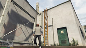 GTA 5 Mosaico Monkey 10