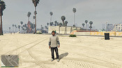 GTA 5 Mosaico Monkey 15