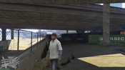 GTA 5 Mosaico Monkey 22