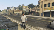 GTA 5 Mosaico Monkey 25