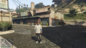 GTA 5 Mosaico Monkey 25