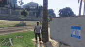 GTA 5 Mosaico Monkey 30