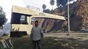 GTA 5 Mosaico Monkey 35