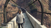 GTA 5 Mosaico Monkey 35