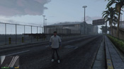 GTA 5 Mosaico Monkey 3