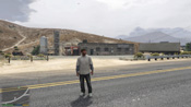 GTA 5 Mosaico Monkey 41