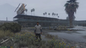 GTA 5 Mosaico Monkey 43