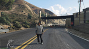 GTA 5 Mosaico Monkey 46