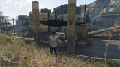 GTA 5 Mosaico Monkey 46