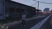 GTA 5 Mosaico Monkey 49