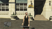 Pamela Drake GTA 5