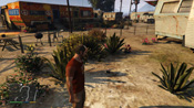 GTA 5 Peyote 15