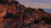 GTA 5 Peyote 23