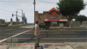 GTA 5 The Hen House