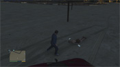 GTA 5 Prostitute
