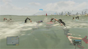 GTA 5 Triathlon Vespucci