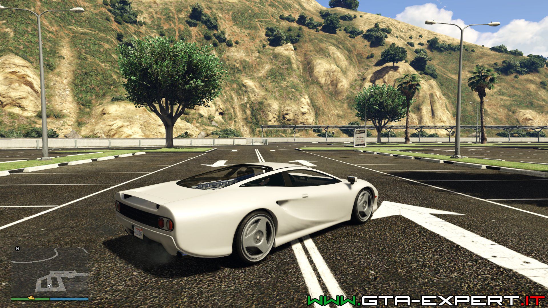 Ocelot ardent gta 5 фото 92