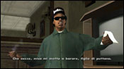 GTA San Andreas Nines and AKs