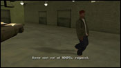 GTA San Andreas Nines and AKs