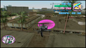 Vice City Sparrow Haiti