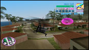 Vice City Sparrow Haiti