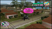 Vice City Sparrow Haiti