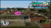 Vice City Sparrow Haiti