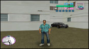 Vice City FBI Washington 