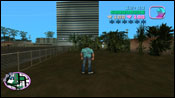 Violenza 25 Vice City
